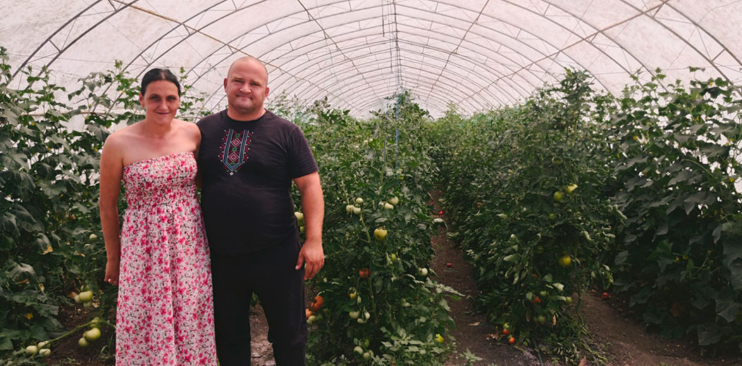 Гълъбински зеленчуци
