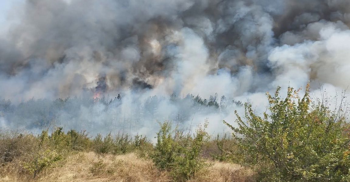 Няма опасност пожарите в РСМ да се прехвърлят у нас