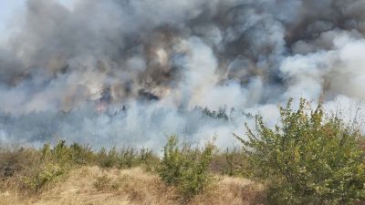 Няма опасност пожарите в РСМ да се прехвърлят у нас