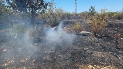 1500 дка сухи треви и храсти горяха край ломско село