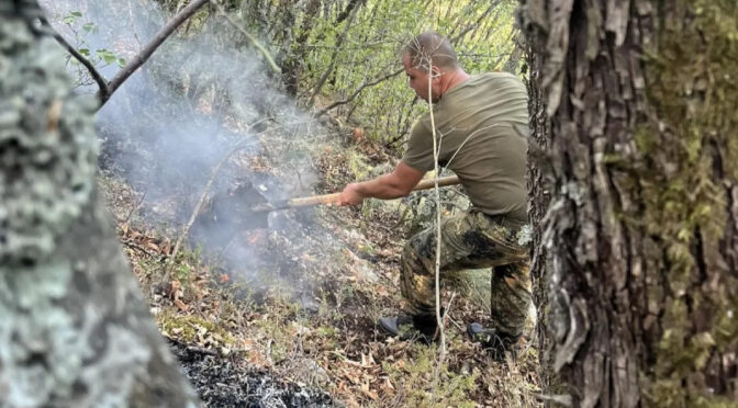 На отделни места в Рила тлеят паднали дървета