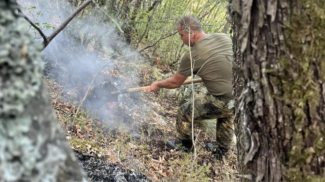 На отделни места в Рила тлеят паднали дървета