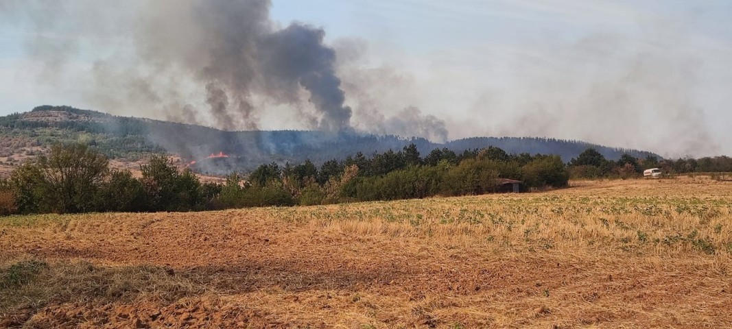 С нетипични за сезона пожари в гористи местности се борят старозагорските огнеборци