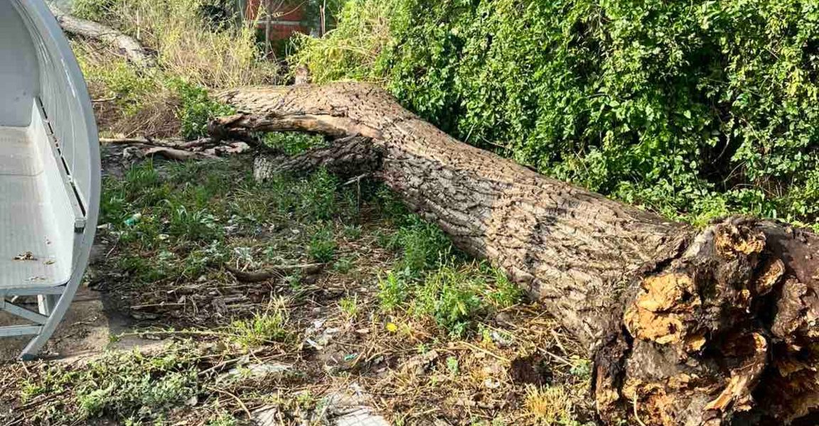 В Плевенско движението по пътищата е възстановено след пороя