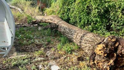 В Плевенско движението по пътищата е възстановено след пороя