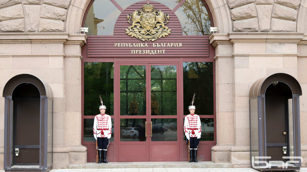 Тържествена смяна на почетния караул пред президентството