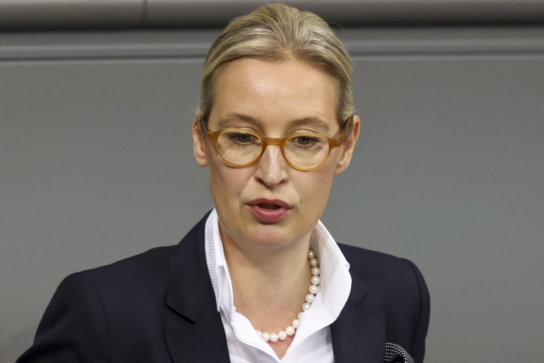 Според правителството в Берлин влиянието на Мъск върху германските избиратели е ограничено