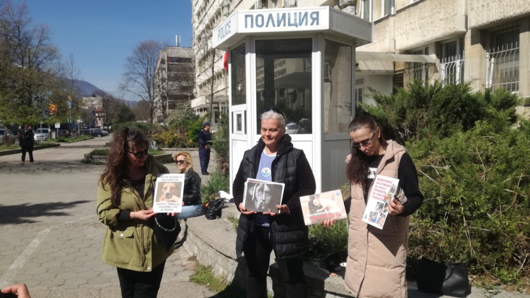 Нов протест срещу насилието над животни в Кюстендил