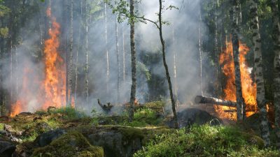 Голям пожар върлува във френския департамент Лозер