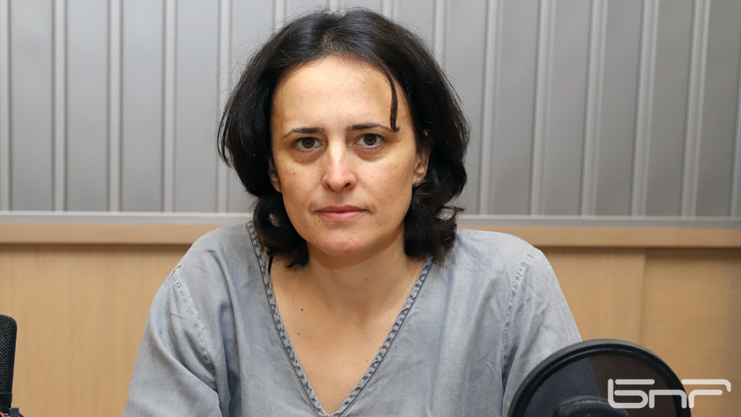 Генка Шикерова: Крилото на Доган е неструктурирано и хаотично