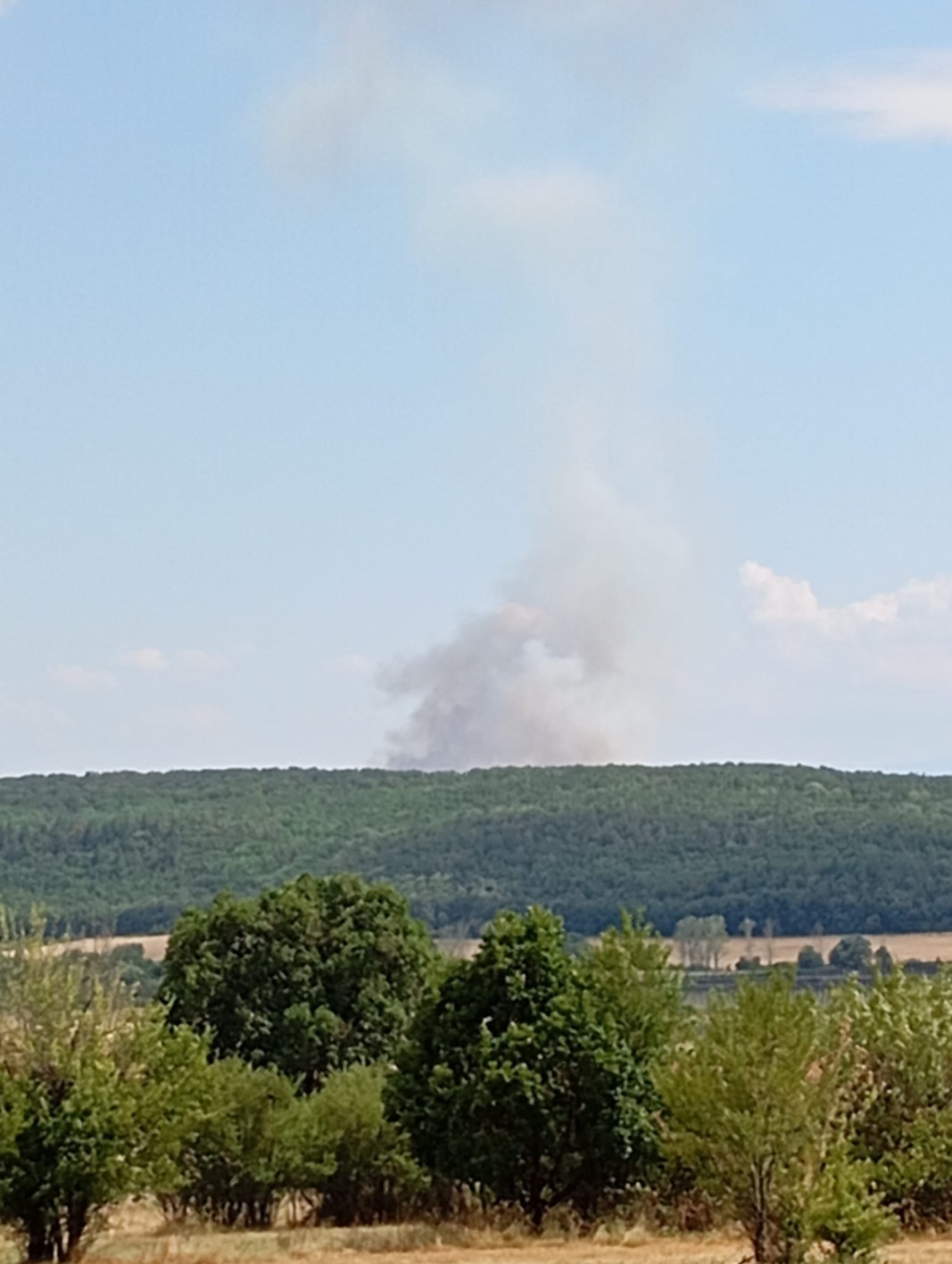 Пожар избухна в изоставени лозя между Драгомир и Мало Крушево