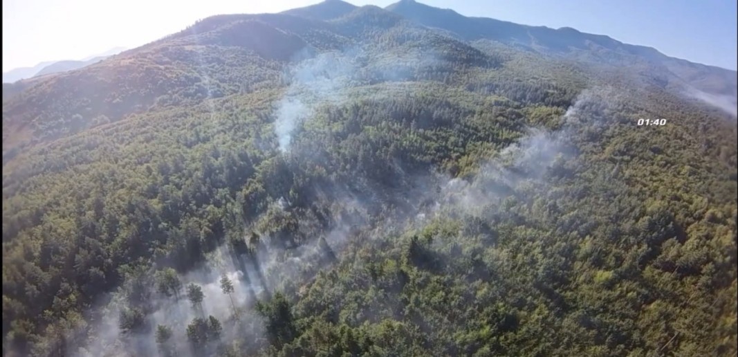 Двама огнеборци са пострадали при гасенето на пожара край Вършец
