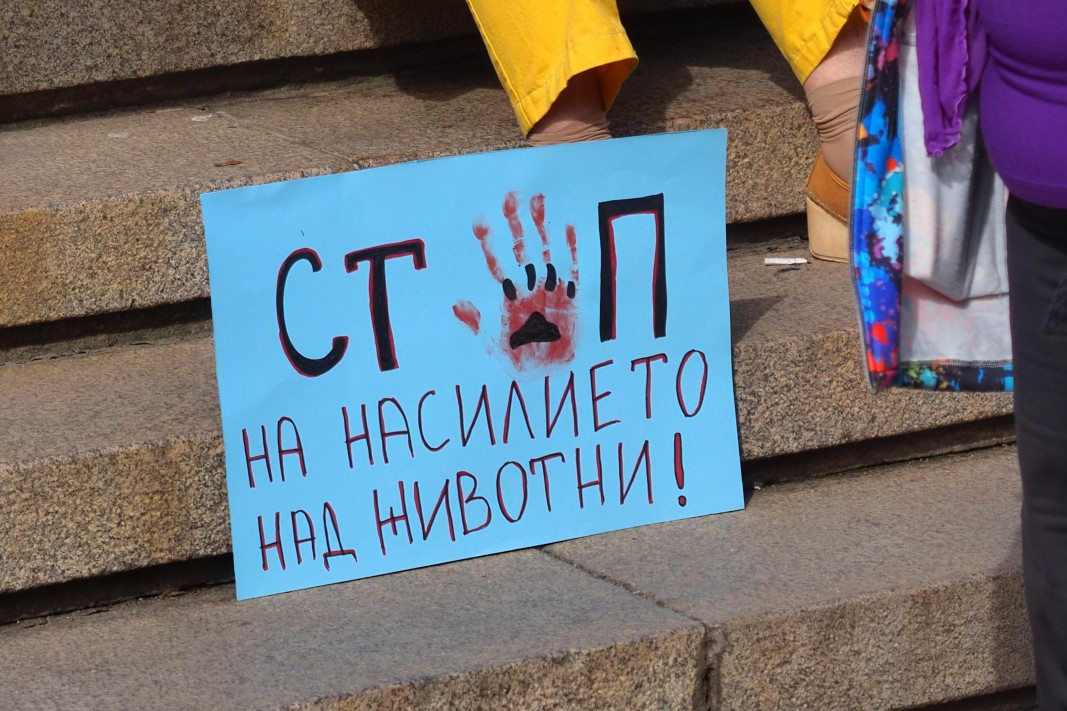 КАЖИ за случая в Перник: Идваше ни да крещим, но трябваше да разследваме