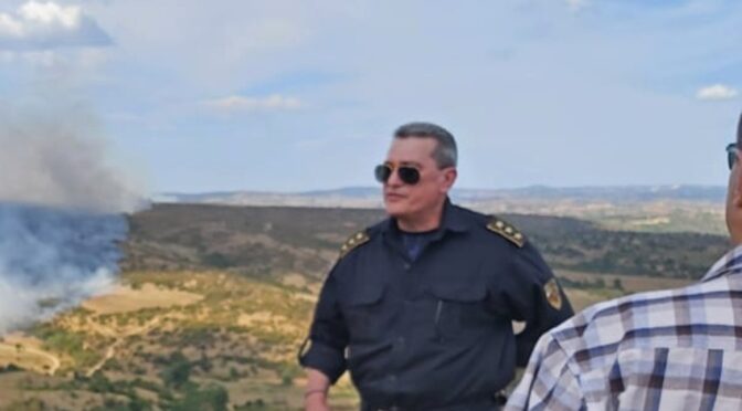 Най-вероятно още догодина България ще разполага с летателна техника за гасене на пожари