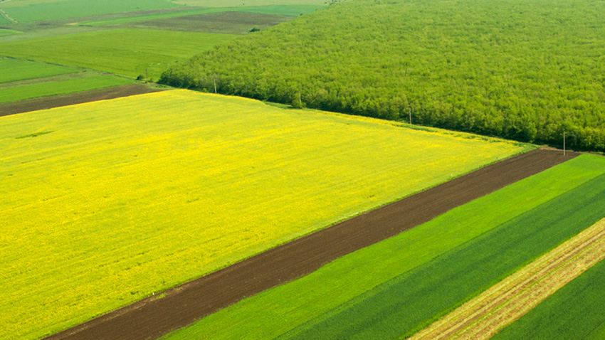 От днес започва изплащане на украинската помощ за фермерите