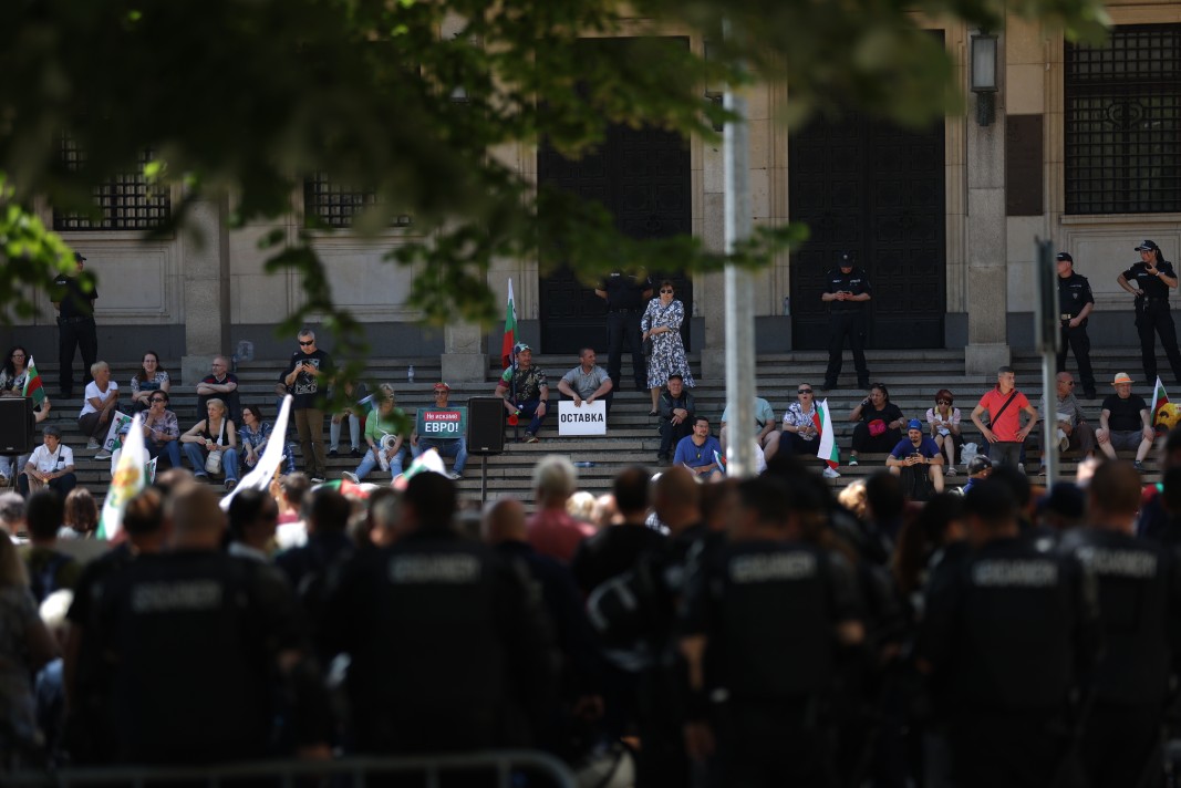 Пореден протест против еврото и в защита на лева