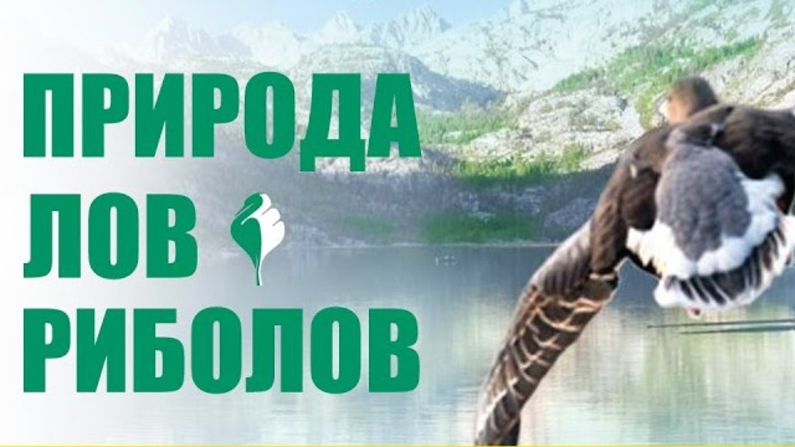 В Панаира се откриват изложбите „Природа, лов, риболов“ и „Цветна пролет“