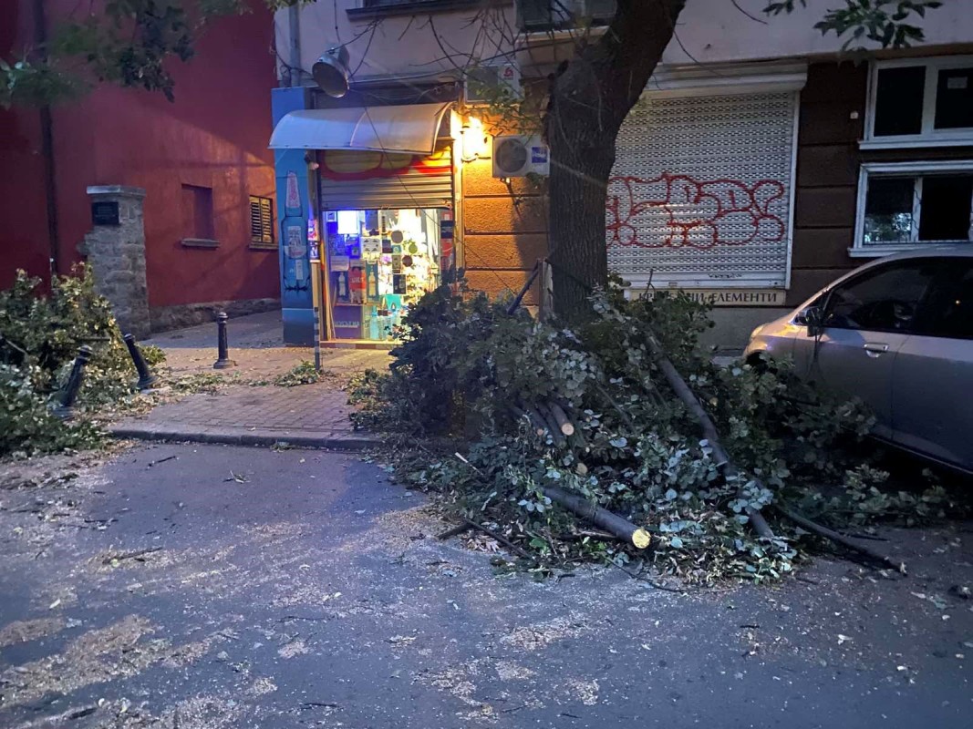 10-метрово дърво е паднало върху автомобил на улица в София