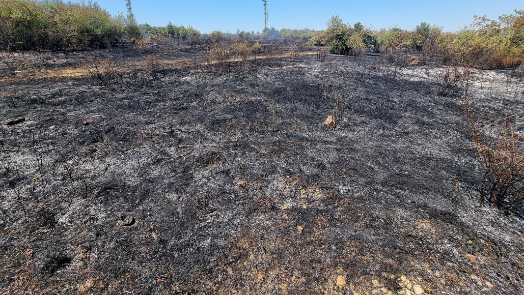 Пожар край село Габровница в Монтанско
