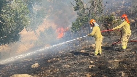 Турция е изпратила помощ за борбата с пожара в района на Лесово
