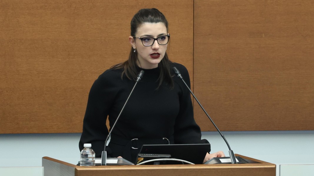 Ресорната парламентарна комисия прие отчета на КПК, от ПП-ДБ гласуваха против