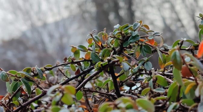 Жълт и оранжев код за дъжд в Южна България