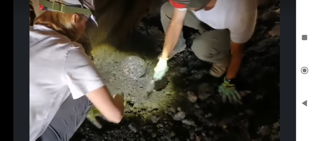 Глава на статуя е открита при разкопките в Големия канал на Хераклея Синтика