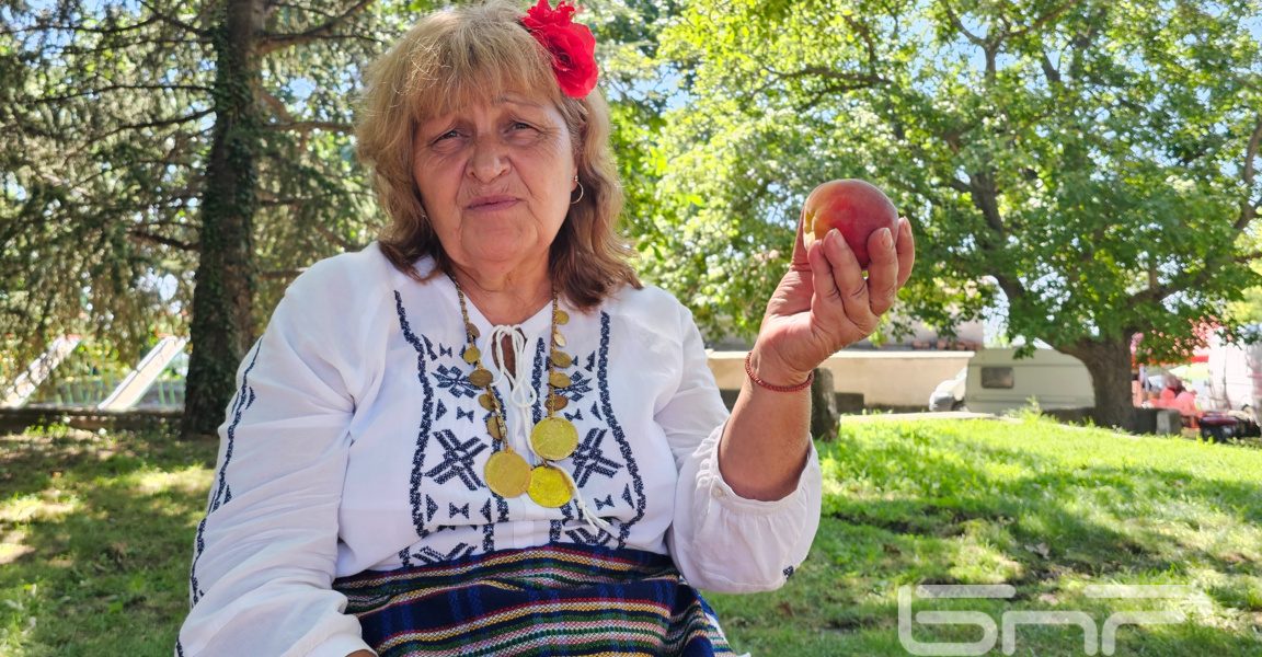 С дъх на праскови – как варят сладкото и ракията в Гавраилово