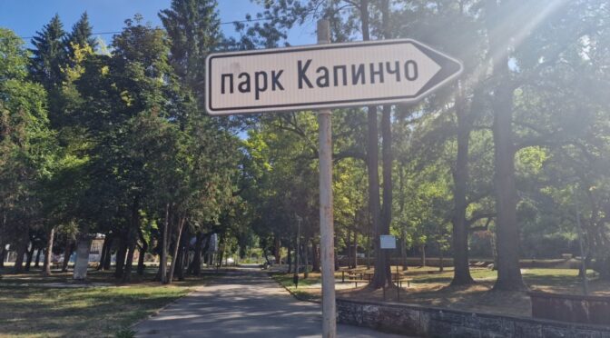 Мечка е забелязана в градски парк в Троян
