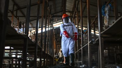 СЗО драстично намали броя на предполагаемите случаи на ебола в Африка