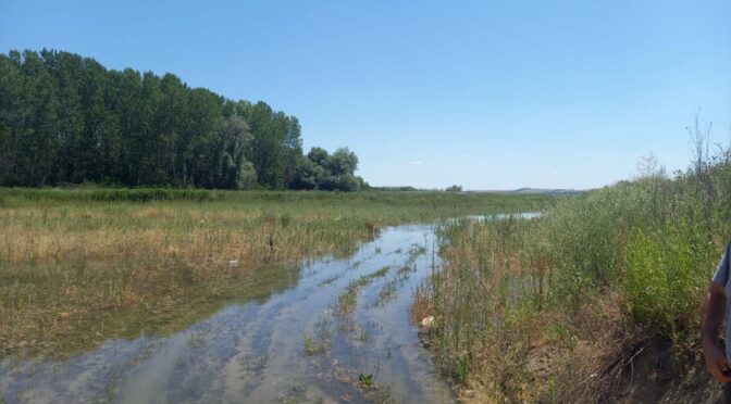 Подготовка за изпомпване и пренасочване на води от Дунав към езерото "Сребърна"