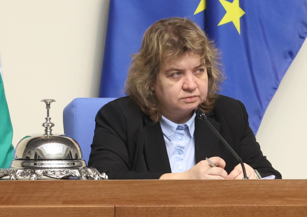 Киселова с коментар за сезирането на КС от Радев