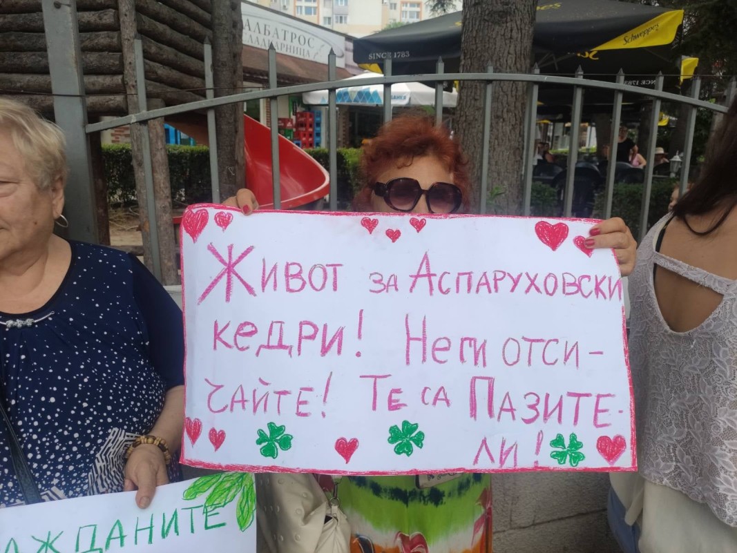 Протест в Аспарухово заради сеч в името на кооперация