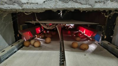 Биологичното производство в България бележи устойчив ръст