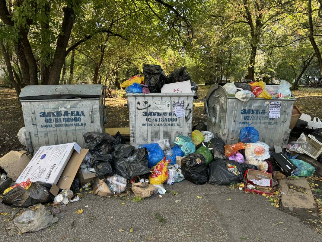 Софиянци в битката с боклука: Стотици доброволци всекидневно се включват в почистването на "Красно село" и "Люлин"