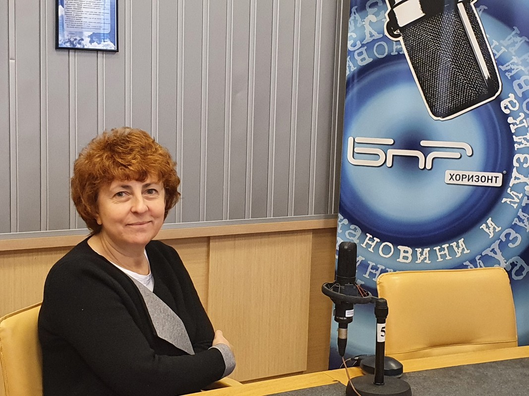 Виктория Василева: Трябва да се даде ясен отговор за "Исторически парк"