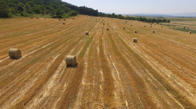 Над 203 млн. евро е бюджетът за земеделците по т. нар. "еко схеми"