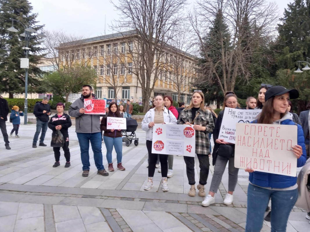Протест срещу насилието над животни в Силистра