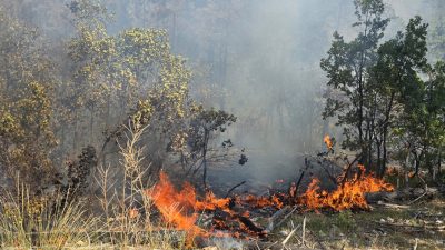 Стари лозя и сухи треви горят между Виноградец и Карабунар