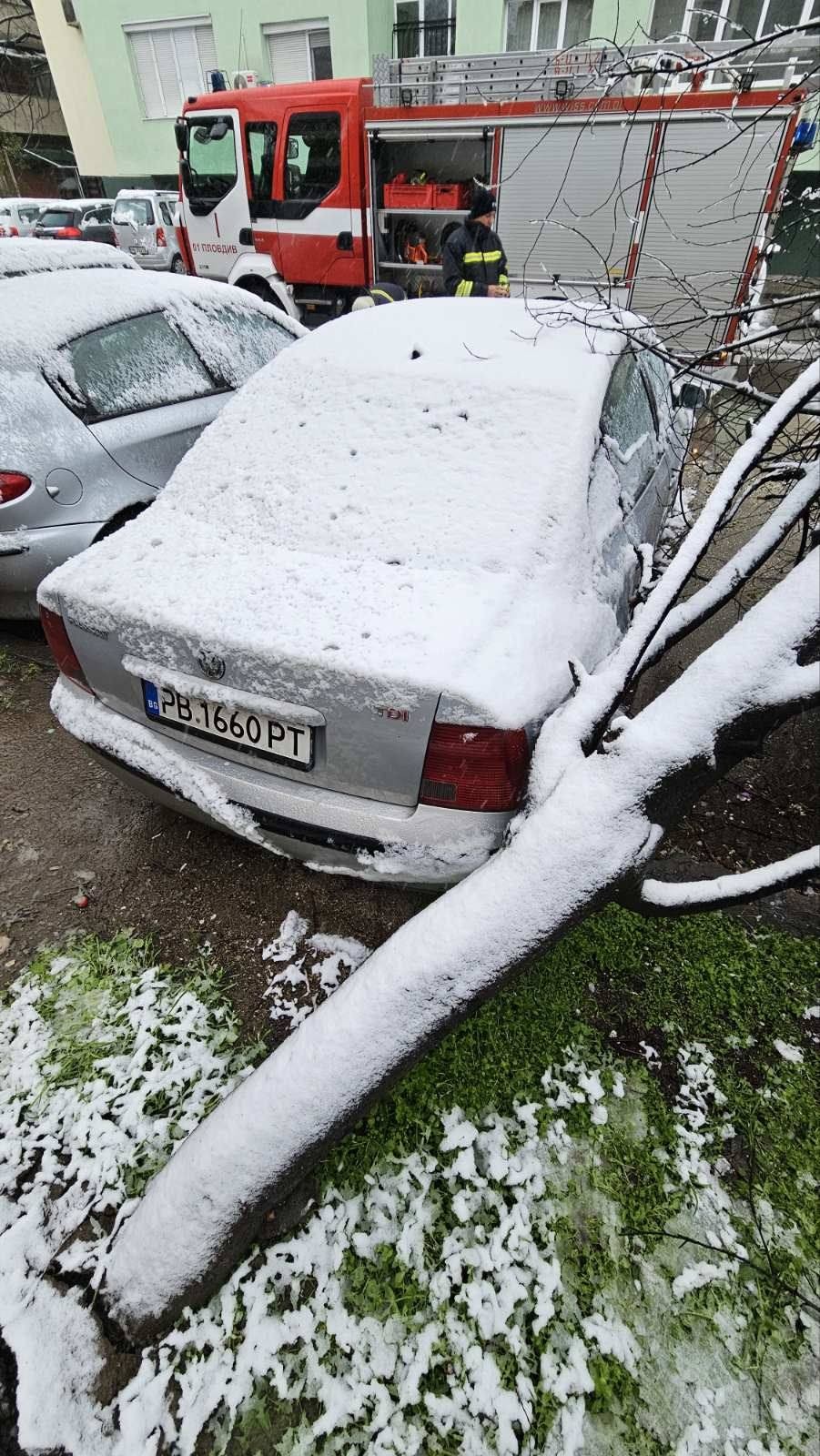 Продължават сигналите за паднали от снега дървета и клони в Пловдив