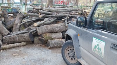 Акции срещу съхранението на незаконни дърва в Берковица и Брусарци
