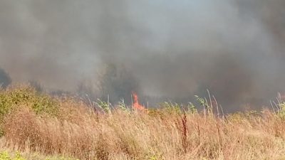 Пожар гори в землището на Луковит близо до имоти