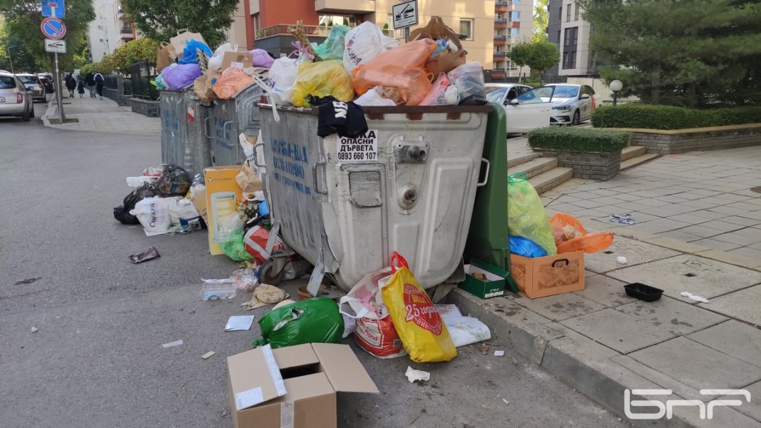Данита Заричинова: Моделът "замърсителят плаща" мотивира хората да намаляват отпадъците