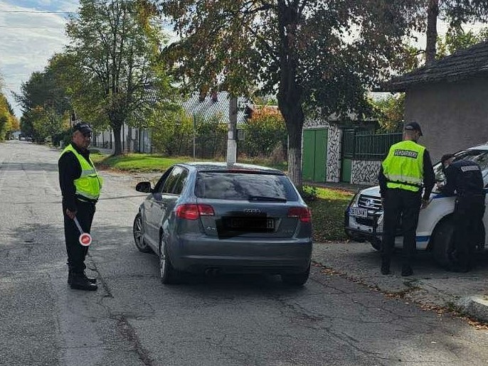 Задържи са 7 души при специализирана полицейска операция в района на Елин Пелин