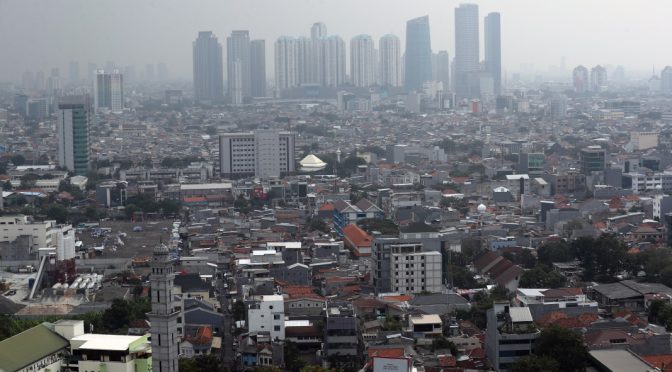 Джакарта забрани консумацията на кучешко и котешко месо