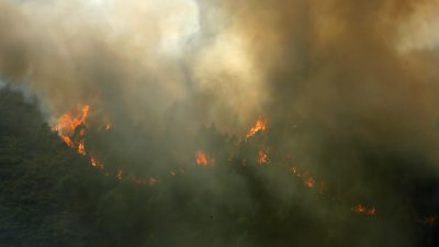 Големи горски пожари бушуват в Испания и Португалия