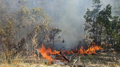 Огнеборци гасят 3 пожара в испанската област Каталуния
