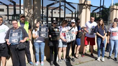 Протест в София поиска ефективни присъди за насилие над животни
