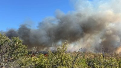 Източният фронт на пожара в Ивайловградско се разраства