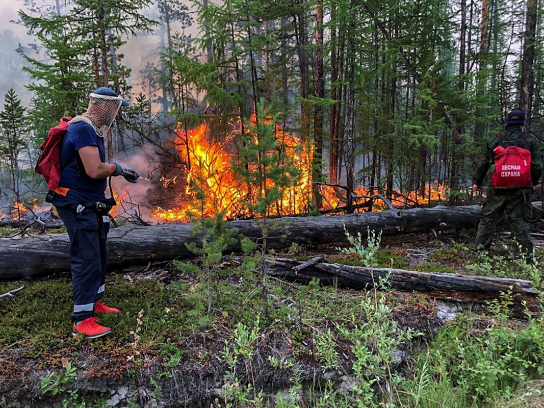 Две руски области обявиха извънредно положение заради горски пожари